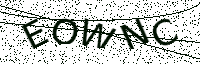 L’image captcha