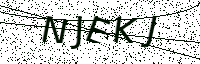 L’image captcha